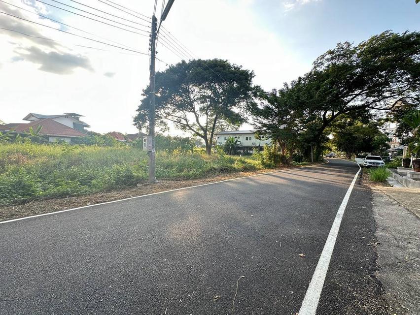 ขายที่ดินโซนด้านหลังโรงเรียนวารีเชียงใหม่ เดินทางสะดวก เข้า-ออกได้หลายทาง บรรยากาศร่มรื่น เงียบสงบ เพียงตารางวาละ 24,725 บาท 2