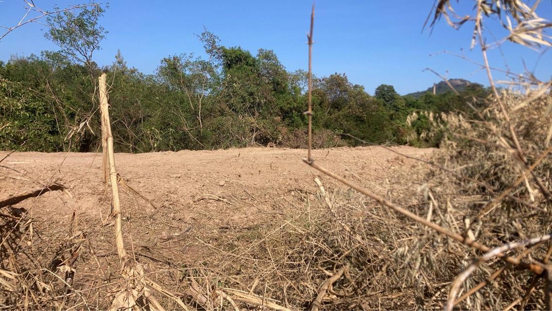 ขายที่ดินเปล่า หัวหิน ทับใต้ 12-3-13 ไร่ ติดถนน ทำเลดี ใกล้แม็คโคร ปราณบุรี 5