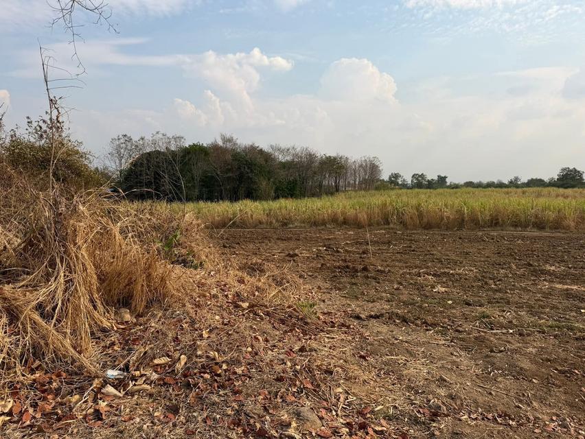 ขายที่ดินติดลำธารที่เพชรบูรณ์ 7