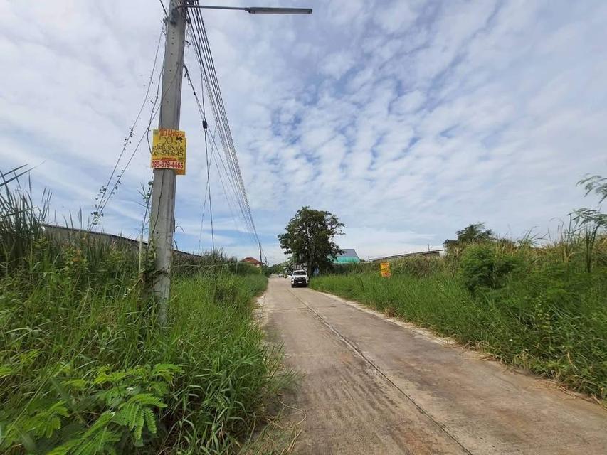 ขายด่วนที่ดินใกล้มอเตอร์เวย์ 50 ตารางวา ติดถนนคอนกรีตสาธารณะ ชอย คลองสี่ตะวันออก 14 อ.คลองหลวง จ.ปทุมธานี 5