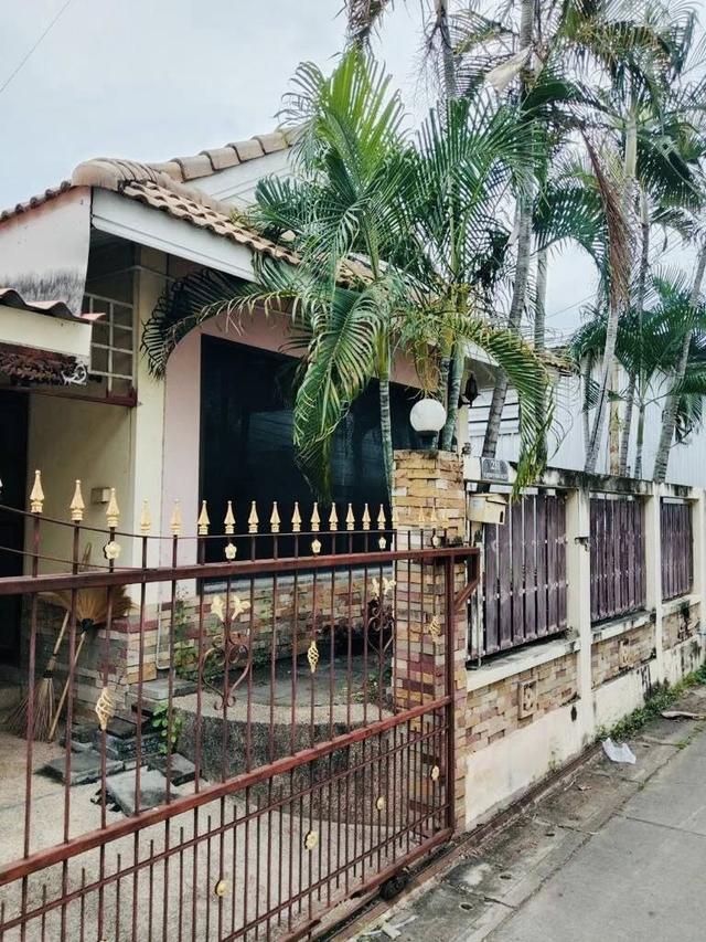 ขาย บ้าน & ร้านค้า กลางเมืองโคราช  16