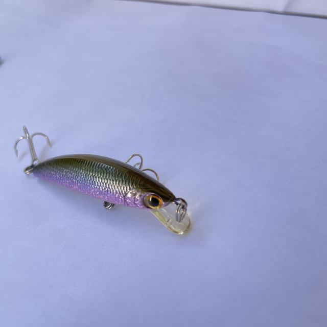 เหยื่อปลอมตกปลา Lucky craft humpback minnow 5