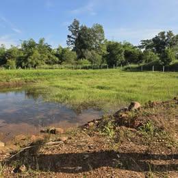 ที่ดินแบ่งขายต.นาฝายชัยภูมิตามงบ 7