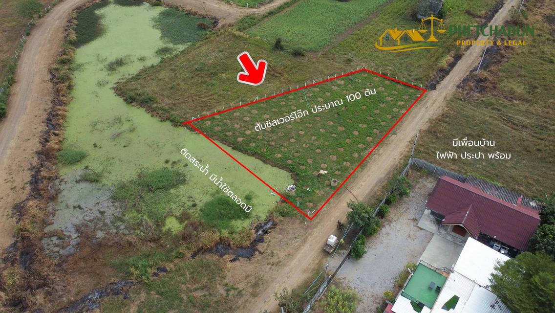 ที่ดินเปล่า 266 ตารางวา ต.วังชมภู อ.เมือง จ.เพชรบูรณ์ 6