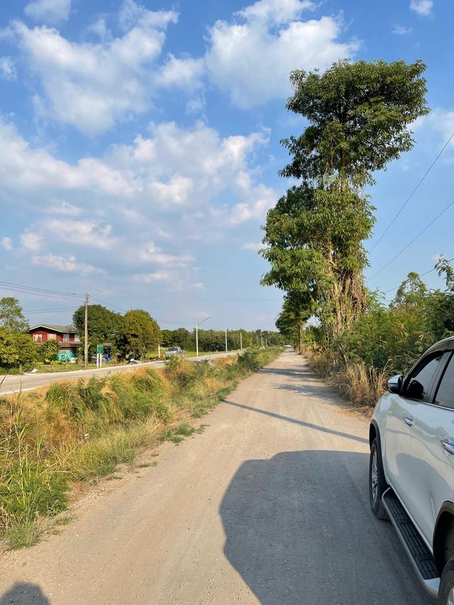 ที่ดิน 11 ไร่ติดถนน 2 ด้าน ใกล้ถนนมิตรภาพ หนองแค สระบุรี 10