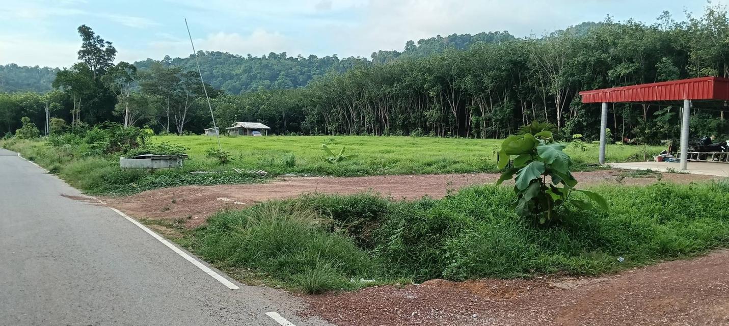 ที่ดินพร้อมบ้าน จำนวน 10 ไร่ 7