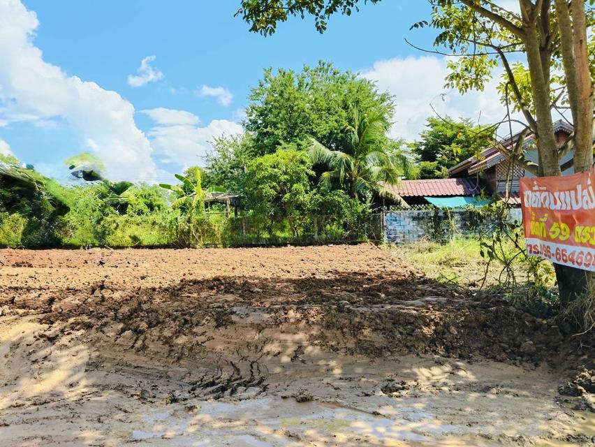 ที่ดินถมแล้ว 59.3ตารางวา ต.อรัญญิก อ.เมืองพิษณุโลก 3