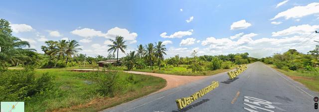 ขายทีดิน ที่นา  5