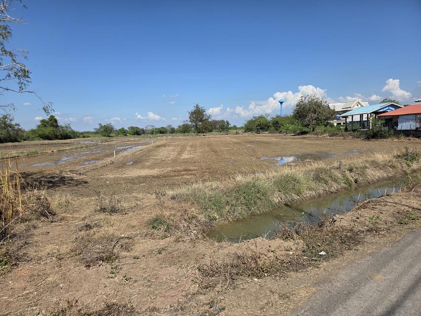 ที่ดิน อ.ภาชี จ.อยุธยา 4