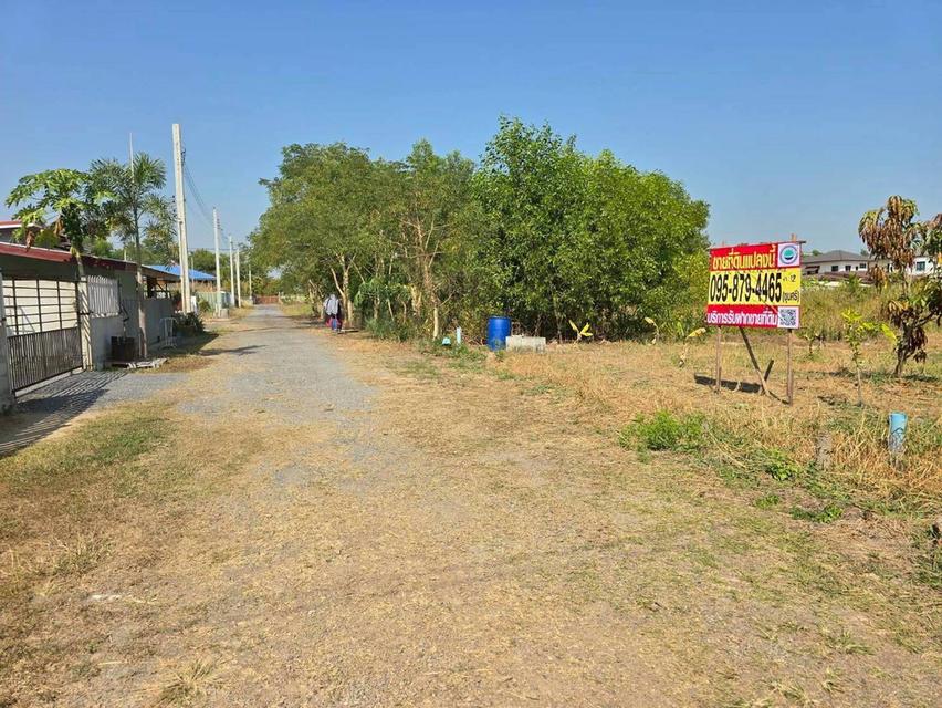 ขายด่วนที่ดิน 63 ตรว ติดถนนสาธารณะ ประชาสำราญ1 แขวงคลองสิบสอง เขตหนองจอก กทม. 9