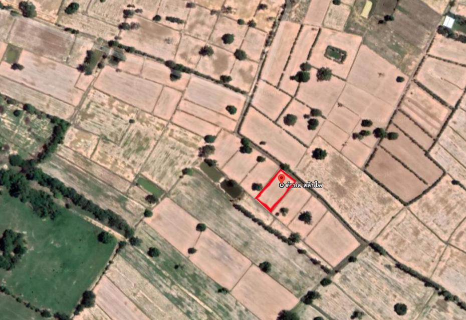 ขายที่ดินเปล่า 1 ไร่ ใกล้โรบินสันสุรินทร์ ต.สลักได อ.เมืองสุรินทร์ 4