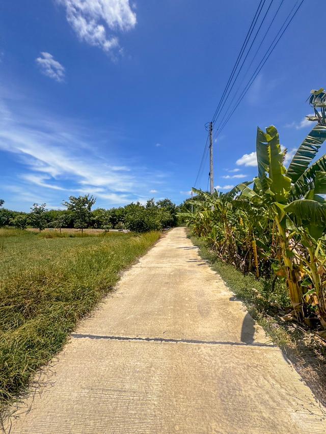 ขายที่ดิน 3 ไร่ อ.อู่ทอง จ.สุพรรณบุรี 6