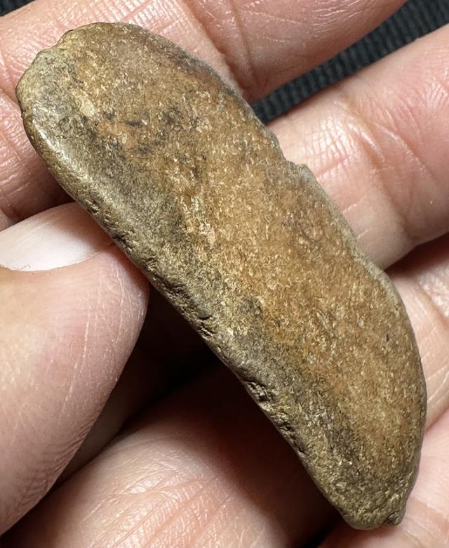 พระกำแพงลีลาเม็ดขนุน รูปที่ 5