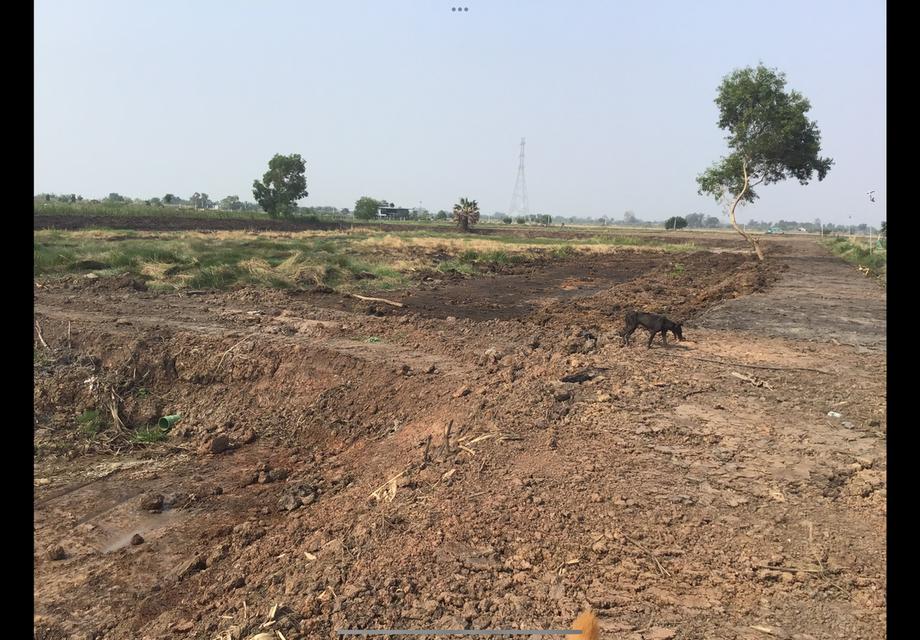 ขายด่วน 960,000/ไร่ ที่ดินสวย 14 ไร่ ติดถนน 3304 แหลมประดู่ บ้านโพธิ์ วังอู่ ฉะเชิงเทรา 6