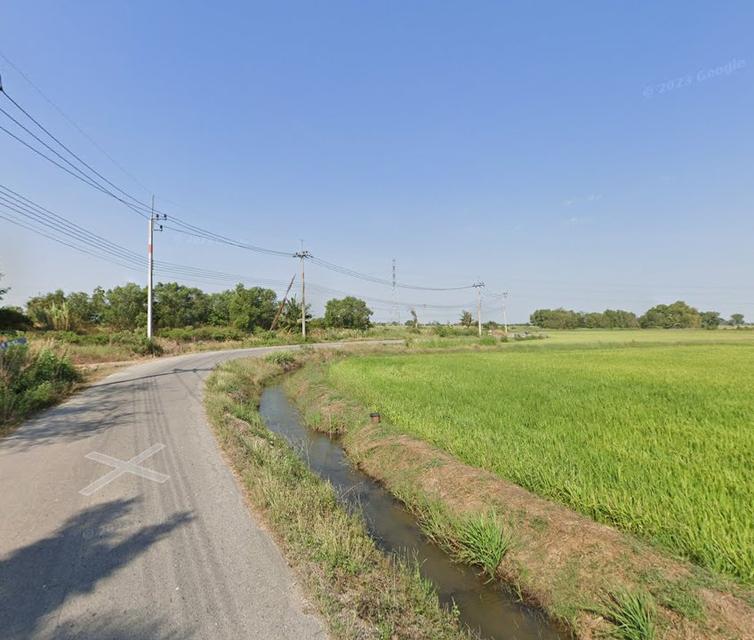 ขายที่ดินบางขวัญแปดริ้ว 22 ไร่ ซอยบางขวัญ18/1 ใกล้ถนนวงแหวนเลี่ยงเมือง365-2กม. เมืองฉะเชิงเทรา 8