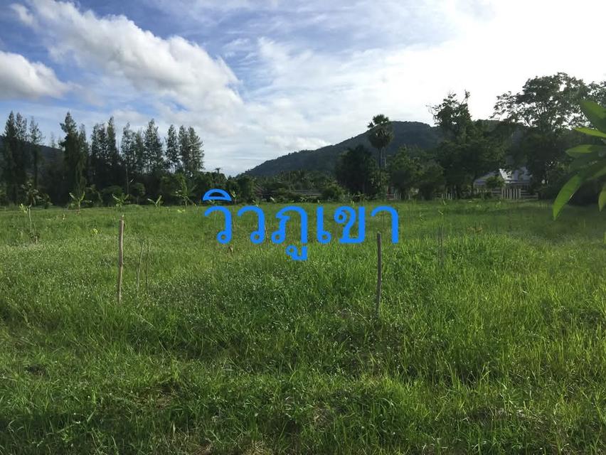 ขายที่ดินยกแปลง 10.9175 ไร่ เหมาะสำหรับทำบ้านพักตากอากาศ รีสอร์ท ร้านอาหาร บ้านช่องมะเฟือง ต.หนองรี อ.เมือง ชลบุรี 4