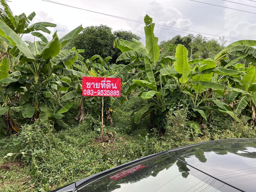 ขายที่ดินสวยสี่เหลี่ยมจัตุรัส มีโฉนด ติดถนนดำ ไฟฟ้า น้ำปะปา มีครบ วิวด้านหน้าเป็นภูเขา สามารถทำบ้านตากอากาศได้ดีใกล้กับวัดบุญน้ำทิพย์ บ้านพี้ ต.บ้านโต 9
