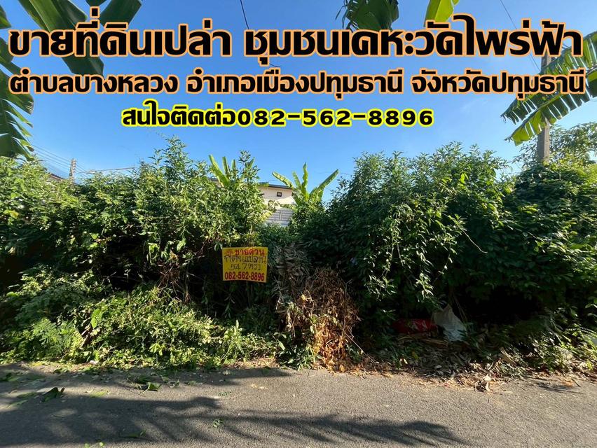 ขายที่ดินเปล่า ชุมชนเคหะวัดไพร่ฟ้า ถนนราชพฤกษ์ 1