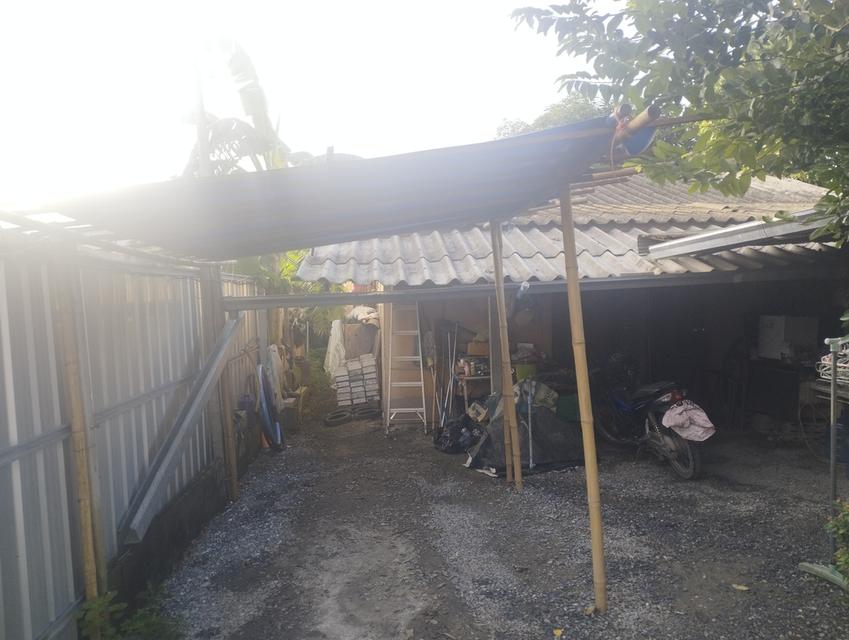 บ้านปลูกเอง 50ตรว. 5