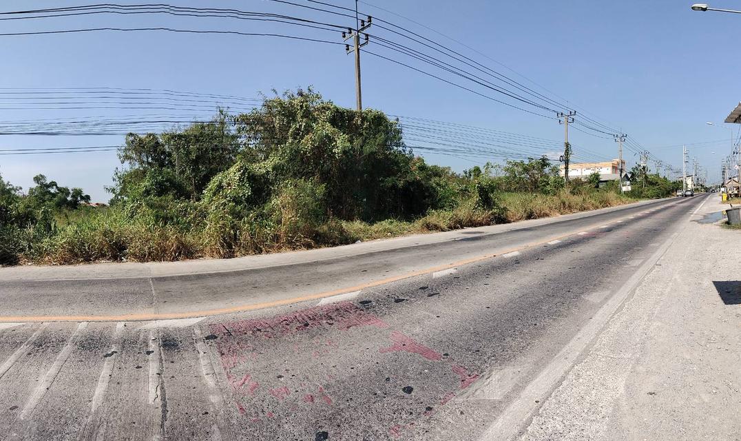 ที่ดินไทรน้อย นนทบุรี ติดถนนทางหลวงชนบท 3