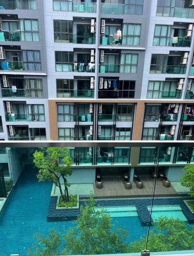  The excel hideaway Sukhumvit 50 Condo 5