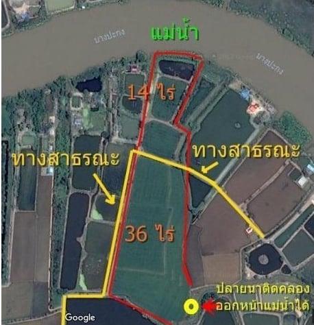 ที่ดินวิวแม่น้ำบางปะกง 50 ไร่ หน้ากว้าง 100 เมตร ราคาถูก 1
