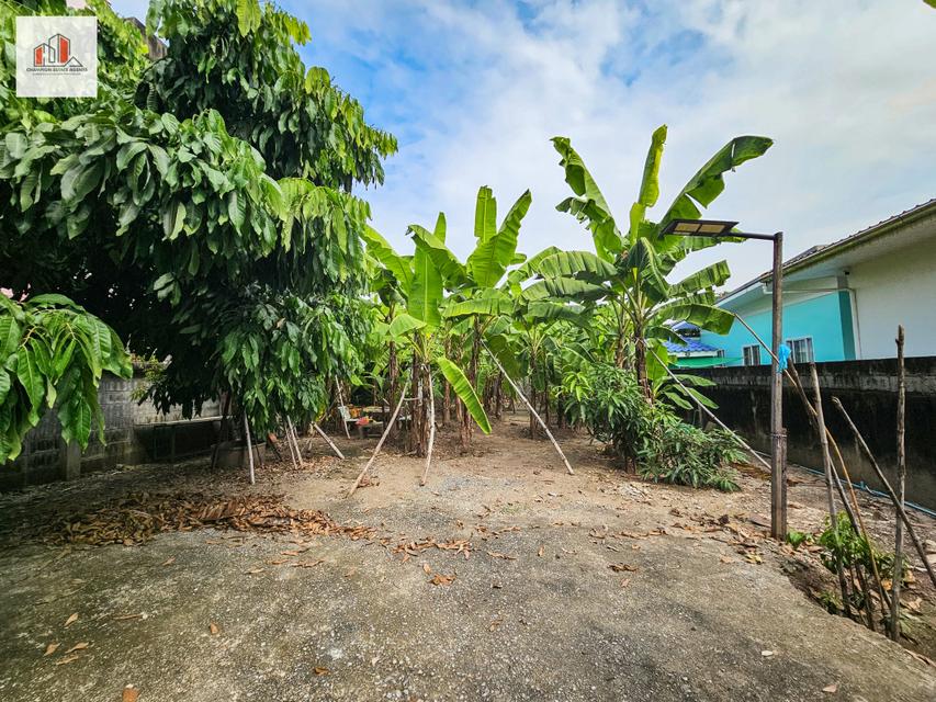 ขาย ที่ดิน ถมแล้ว-สูงกว่าถนน เข้าซอยเพียง 20 เมตร หมู่บ้านเศรษฐกิจ บางแค 82 ตรว 4