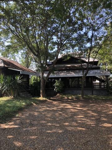 🏡 บ้านไม้ริมน้ำปิง พร้อมที่ดินผืนใหญ่ บรรยากาศธรรมชาติ 10
