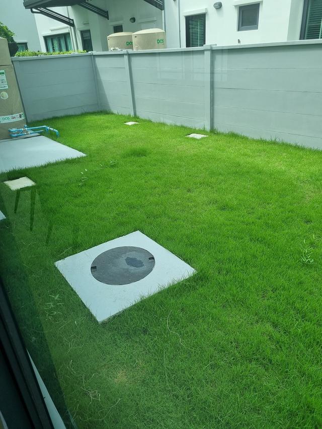 🏡✨ ให้เช่าด่วน! บ้านแฝด Pleno บางนา-สุขุมวิท 53 ตร.ว. (บ้านใหม่ ไม่เคยอยู่) 70,000 บาท/เดือน เฟอร์นิเจอร์ครบ! 7