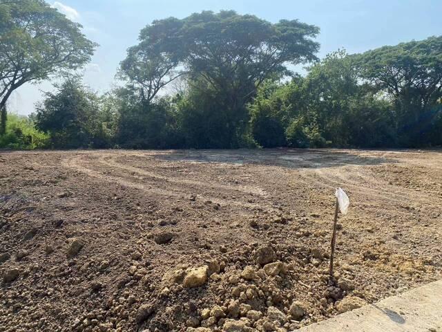 ขายที่ดิน 3 แปลงรวม 340 ตร.วา ราคา ตร.วาละ 12,000 บาท เมืองเพชรบูรณ์ 5