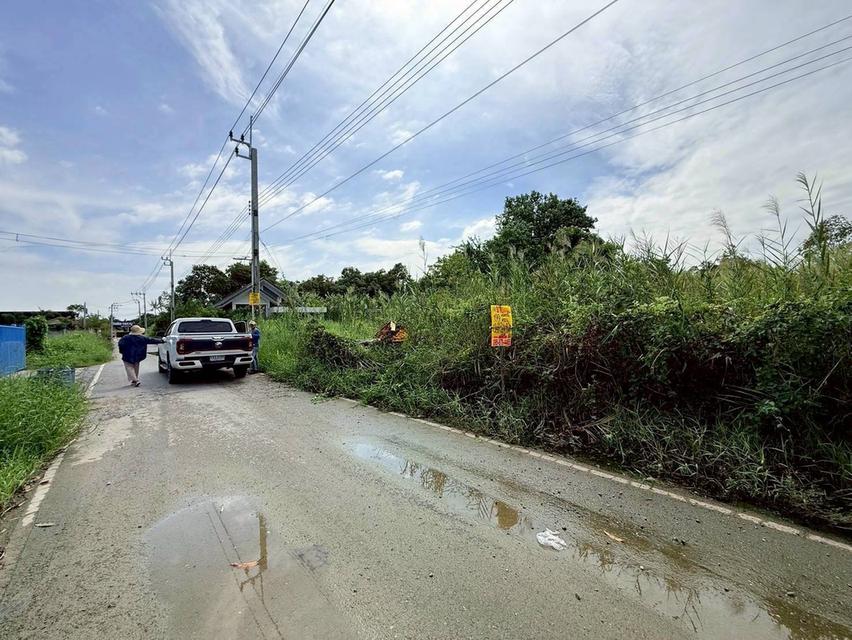 Vายด่วนที่ดินบ้านใหม่ 199 ตารางวาทติดถนนลาดยาง มีไฟฟ้า 3 เฟส ซอย เคหะ-บ้านใหม่ 21 อ.บางใหญ่ จ.นนทบุรี 2