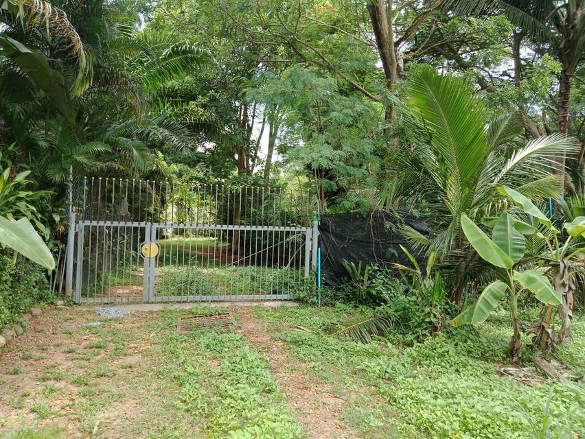 ขายที่ดินซอยสยามคันทรีคลับ