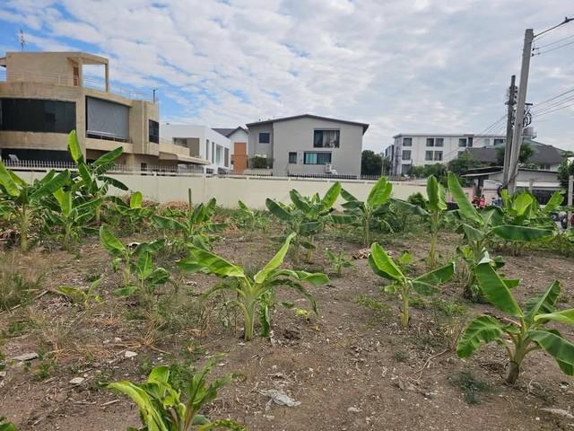 ให้เช่าที่ดินเปล่า 416 ตร.ว. (1 ไร่) ถมแล้ว ซอยนาคนิวาส 21 ถนนกว้าง น้ำไม่ท่วม 2