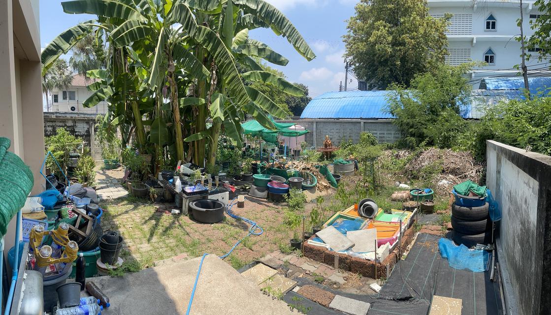 ขายบ้านทาว์นโฮม แปลงพื้นที่ดินบ้านหลังเดียวที่ใหญ่ที่สุดในหมู่บ้าน หลังริมสุด 80.9ตารางวา 3ห้องนอน2ห้องน้ำ ราคาพูดคุยกันได้ พร้อมโอน รูปที่ 6