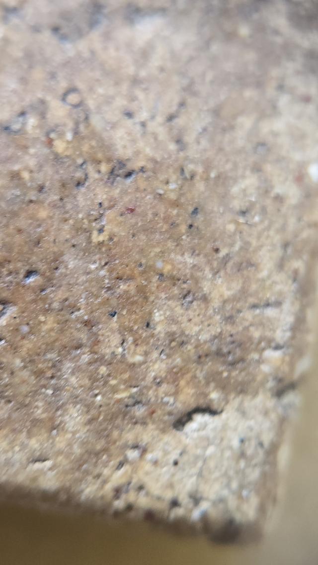 พระสมเด็จวัดระฆัง พิมพ์ใหญ่  10