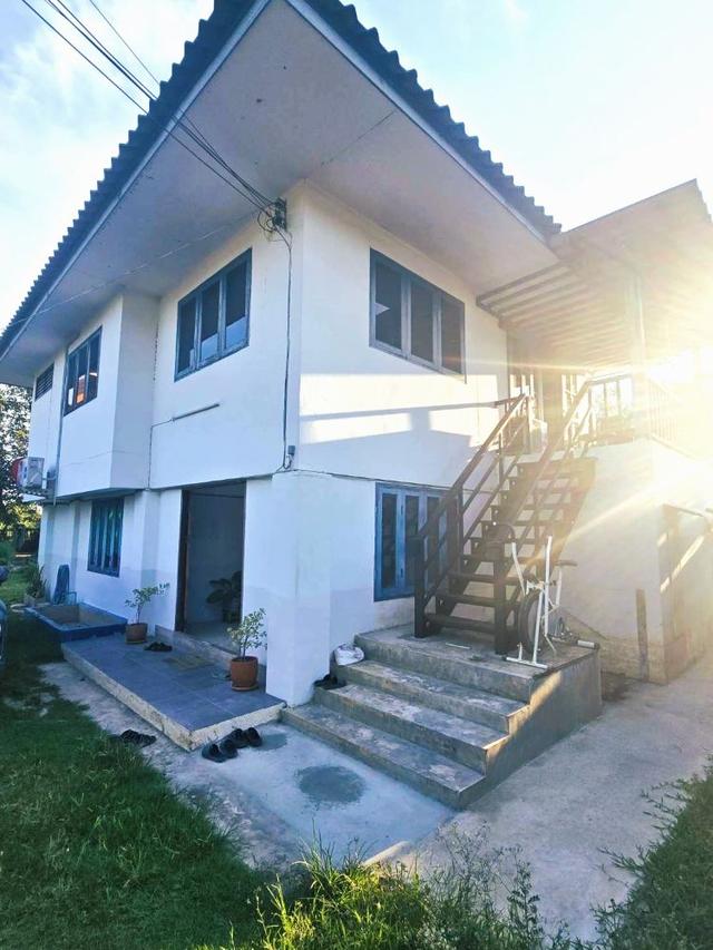 ขายพร้อมผู้เช่า บ้านเดี่ยว 2 ชั้น วิวรีสอร์ต ท่ามกลางธรรมชาติ ต.ป่าแดด จ.เชียงใหม่ (รับนายหน้า3%) 3