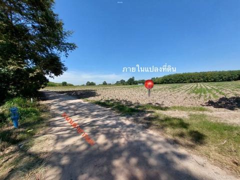 ขายที่ดินเปล่า 20 ไร่ พนมสารคาม ฉะเชิงเทรา เขต EEC ราคาต่อวาไม่ถึงพัน เข้าออกได้ทั้งถนน 304 และ 331 2