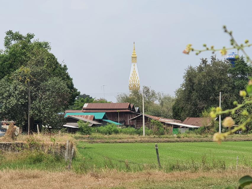 ที่ดินเปล่าเมืองราชบุรี วิววัดหนองหอย ติดลาดยาง ฝนชุมชน 8