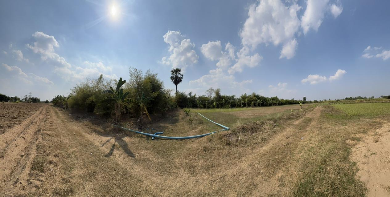 ขายที่ดิน 7 ไร่ ทุ่งบัวกำแพงแสน ติดถนนลาดยางแปลงสวยราคาถูกสุดในตลาด แถมบ้านฟรี 1