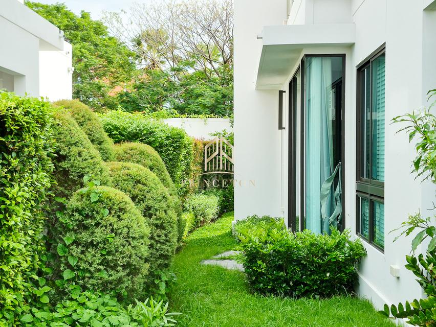 House For Rent MANTANA Bangna KM.15 19