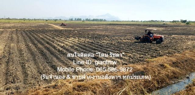 ขายที่ดินเพื่อการเกษตรกรรม 149-0-91.4 ไร่ ต.หนองแก อ.พระพุทธบาท จ.สระบุรี, ราคา 55 ล้านบาท 6