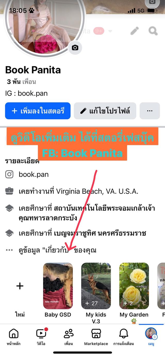 ลูกสุนัขเยอรมันเชพเพิร์ด(อัลเซเชี่ยน) 6