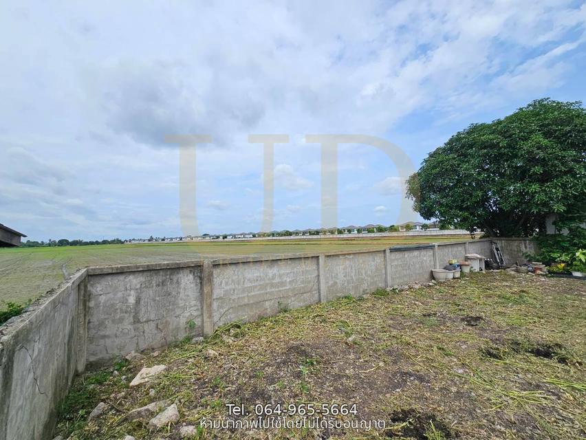 ขายที่ดินถมแล้ว 100 ตร.ว. ซอยหนองระแหง 4 คลองสามวา แปลงสวย ทรงสี่เหลี่ยมจัตุรัส เหมาะสำหรับสร้างบ้านอยู่อาศัย 3