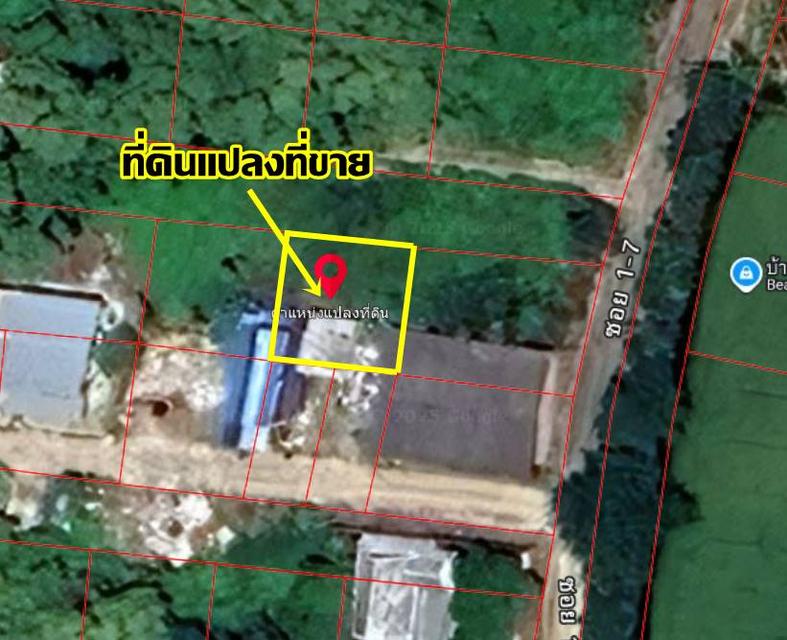 ขายที่ดินเปล่า คลองโยง ใกล้วัดต้นเชือก บางใหญ่ นนทบุรี 5