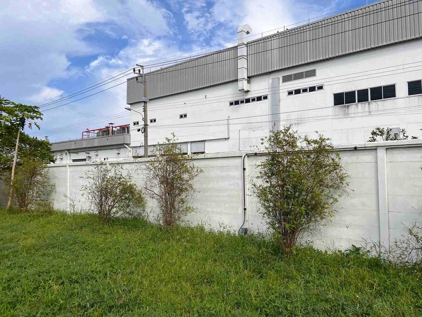 ขายที่ดินคลองนิยมยาตราสีม่วง 2 ไร่ ติดถนนเส้นทล.3091 หลังนิคมเวลโกรว์ อ.บางบ่อ จ.สมุทรปราการ 3