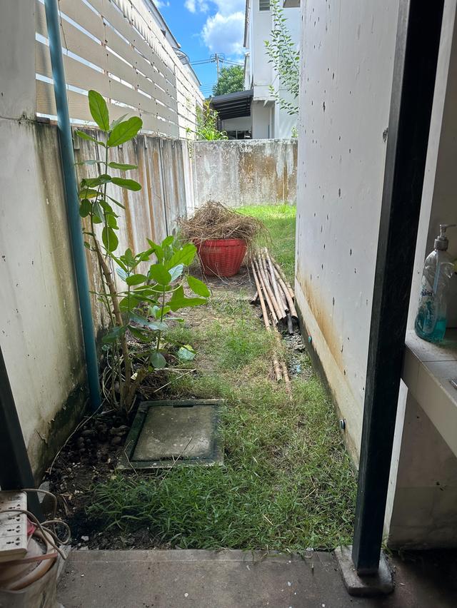 ขายบ้านแฝดโฮมเพลส วงแหวน - รัตนาธิเบศร์ บางใหญ่ พร้อมเข้าอยู่ ทำเลดี ใกล้รถไฟฟ้าสายสีม่วง 13