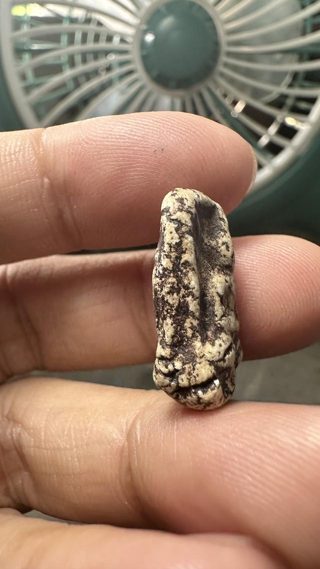 ขุดสระเล็ก วัดกิ่งแก้ว สมุทรปราการ รูปที่ 2