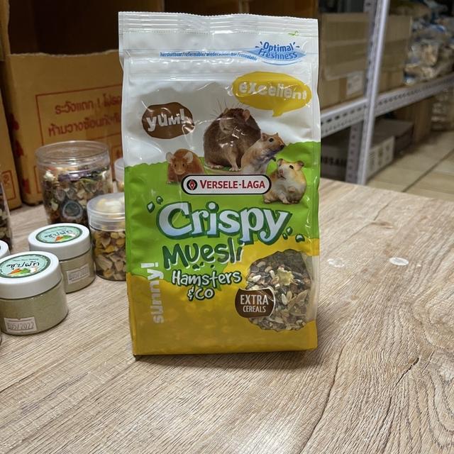 Crispy muesli แฮมเตอร์ 2