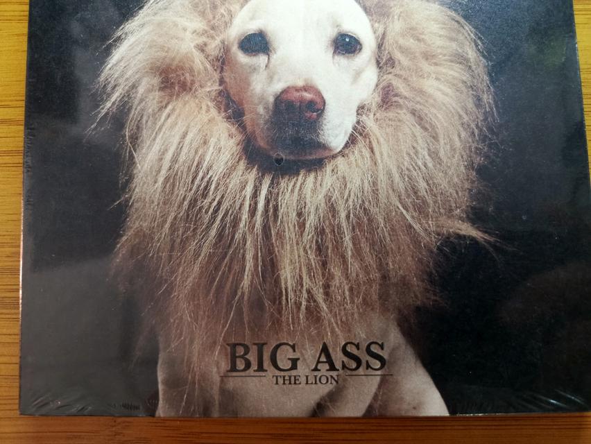 ซีดี BIG ASS ชุดนี้ลดราคา 229 เหลือ 120 บาท รูปที่ 2