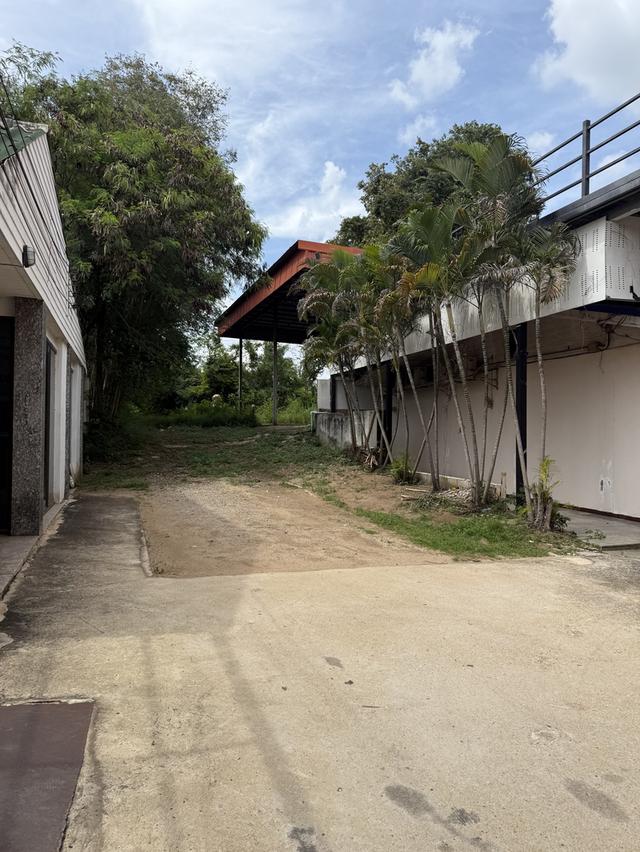 ที่ดิน 8
